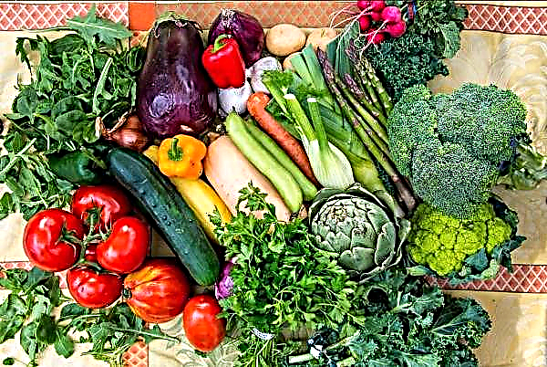الهند تطلق بوابة لرصد أسعار الخضروات