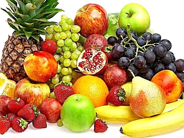 يبدأ مشروع بناء فخم في ليبيتسك: سيتم تقديم تخزين فريد من الفاكهة للمزارعين