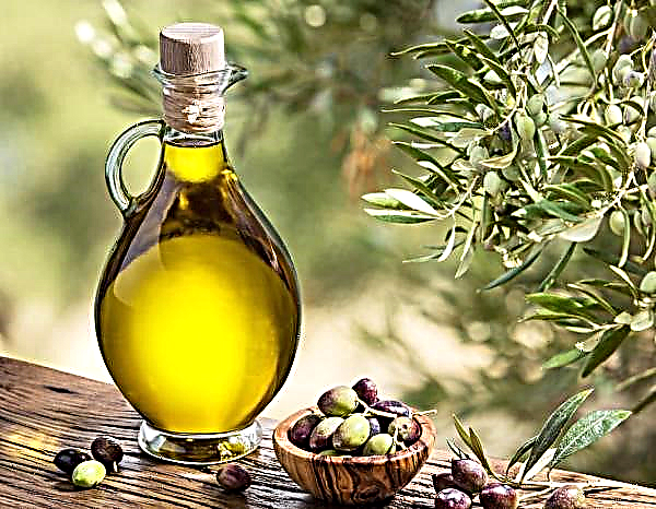 Italy, Spain and Turkey drive Greek olive oil out of the market