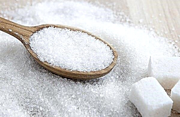 Sugar producers ask not to close inactive railway stations of Ukraine