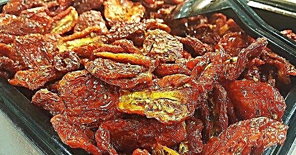 Sun-dried Ukrainian tomatoes will be cooked using solar energy