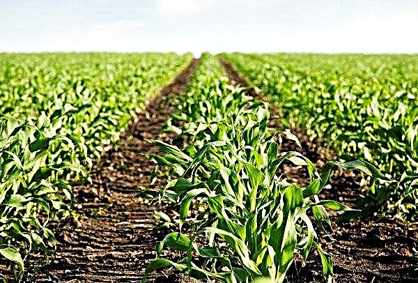 Le Brésil maintient un financement agricole stable pour 2019-2020