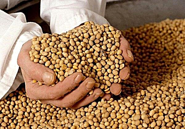 China asks US sellers to postpone soybeans