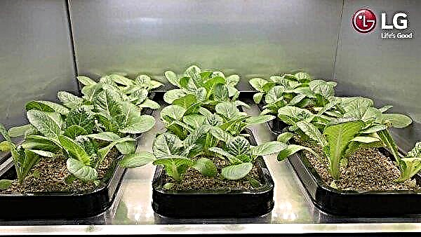 LG präsentiert ein intelligentes Gewächshaus für den Anbau von Gemüse und Kräutern in der Küche