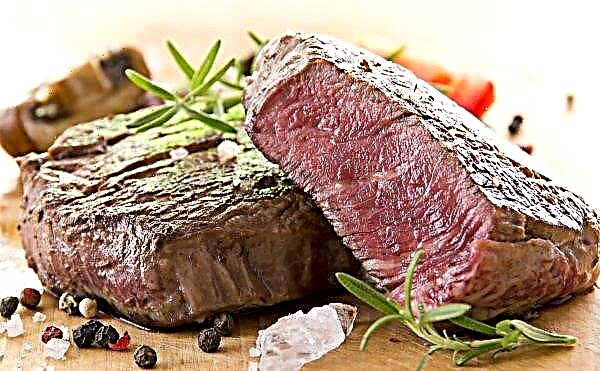 سيتم إنشاء مصنع قوي لتجهيز اللحوم من تايسون فريش ميتس في كازاخستان