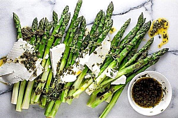 Ukraine predicted an early fall in love with asparagus