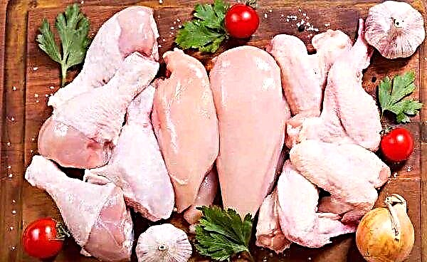 Từ thứ hai, một mục nhập cho một con gà Mexico đã được đặt hàng đến Nga