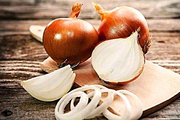 Onion prices in Ukraine will continue to decline