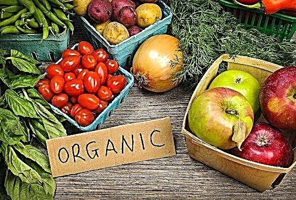 Bukovina organic conquers the European market