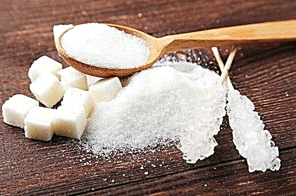 Russia builds up sugar potential