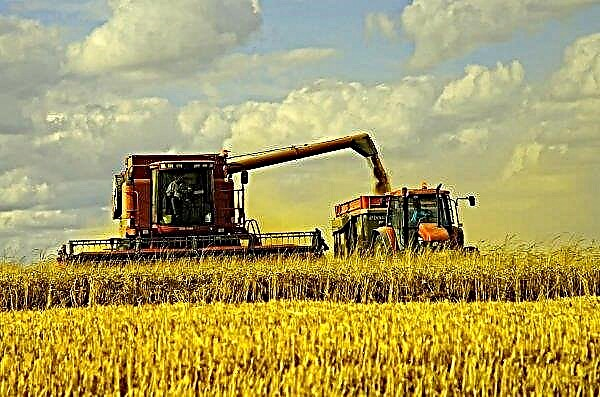 Les agrariens de Don récoltent les céréales