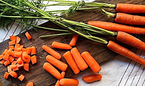 Las zanahorias debilitan o fortalecen las heces (niños, adultos): composición química, reglas básicas para la ingesta y contraindicaciones.