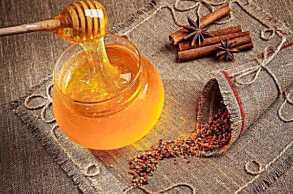 The current honey season in Ukraine will be unsuccessful
