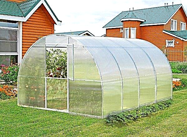Americans developed greenhouses that are not afraid of storms and typhoons