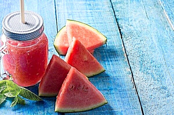 عصير البطيخ: فوائد ومضار ، ميزات الاستخدام والتحضير
