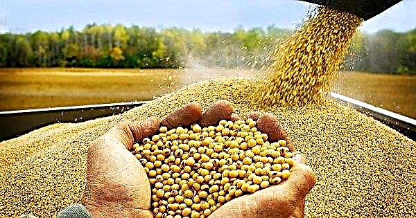De export van Braziliaanse sojabonen kan in maart afnemen