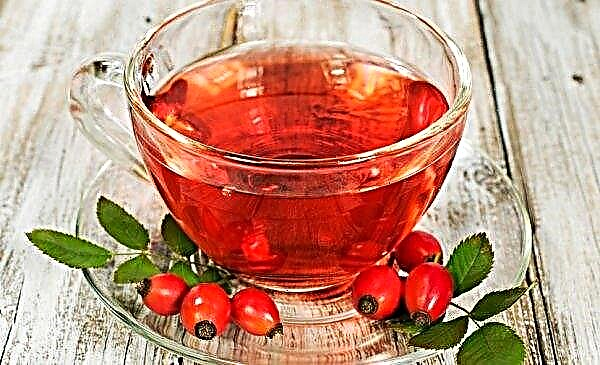 Ground rosehip with honey, healing properties, harm for men, useful recipes