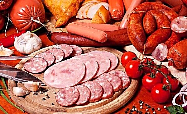 The leader of meat production treated the world with "plague" sausage