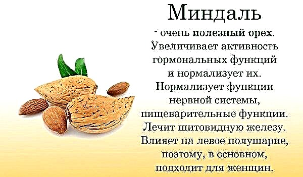 How much can you eat almonds per day, the beneficial properties and harm of nuts to the body