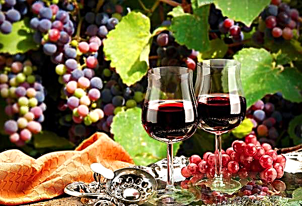 يتم توحيد النبيذ الأوروبي في قاعدة بيانات واحدة