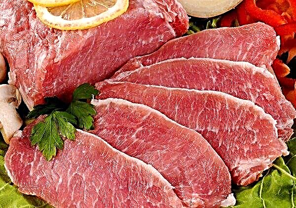 Ministério da Política Agrária da Ucrânia ignora o problema das importações de carne suína cinza