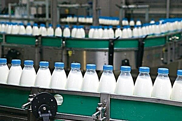 La perte d'une laiterie peut être désastreuse pour l'industrie