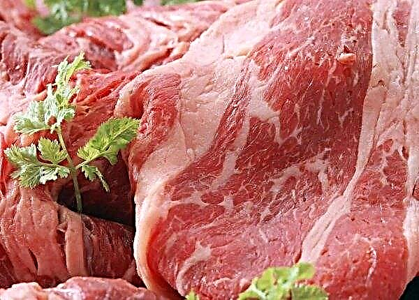 Terorism biologic: carne de porc poloneză infectată cu ASF importată în vrac în Ucraina
