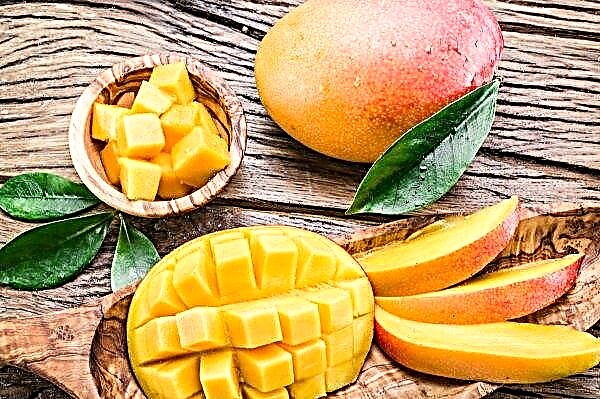 In de Filippijnen leidde het natuurlijke effect van El Nino tot een overschot aan mango's