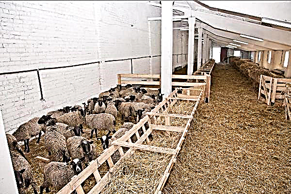Kokybiška ventiliacija tvarte - raktas į aukštą avių produktyvumą