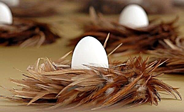 En Gran Bretaña, la población local está en contra de la creación de una "granja de mega huevos".