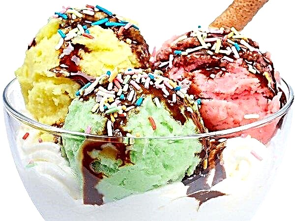 Can I have one more? The Chinese are delighted with Novosibirsk ice cream