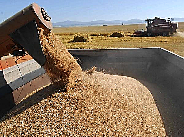 Período programado para aquisição de trigo na província de Sindh em 2020