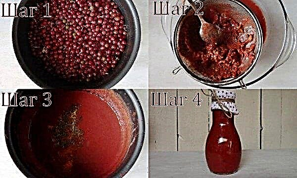 Olivello spinoso rosso, o shepherdia (un ibrido di olivello spinoso e crespino): proprietà utili e danni, foto