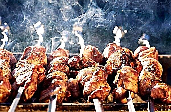 Se preparará un kebab de carne de 17 pisos de fabricantes líderes en Penza
