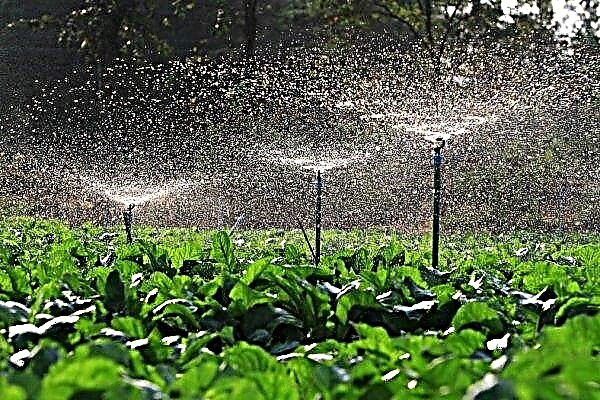 Unbekannte Personen bauen illegal ein Bewässerungssystem in der Gegend von Nikolaev ab