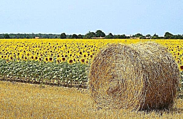 تتمتع منطقة دونيتسك بأعلى مؤشر للكفاءة الزراعية في أوكرانيا
