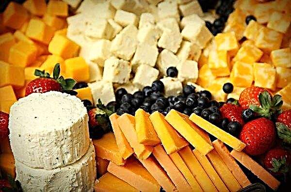 Cooperativa de laticínios da Irlanda do Norte ganha contrato com queijo Greggs
