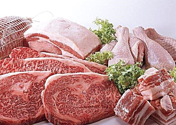Mercados de Bolsa de Valores de Chicago Crescem Futuros de Carne Suína