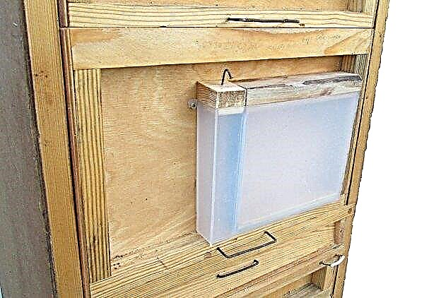 Intensive beekeeping by Milenin Mikhail Ivanovich: technology, methods, drawings