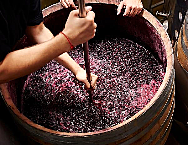 Pembuat anggur Freiburg meminta sokongan