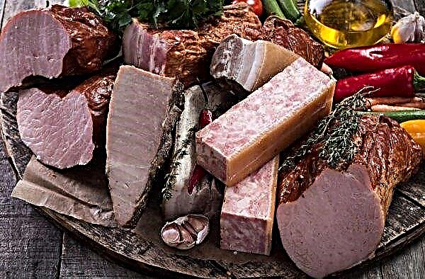 في قرية بشكير بدأ إنتاج اللحوم الشهية