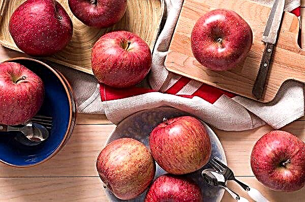 רוסלוחוזנדזור יעריך את "פוטנציאל התפוחים" של בלארוס