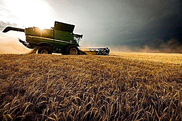 Pertanian Jerman tidak memerlukan tenaga kerja dari Ukraine