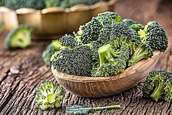 Na ukrajinskih trgih so se pocenile vse vrste zelja, razen brokolija