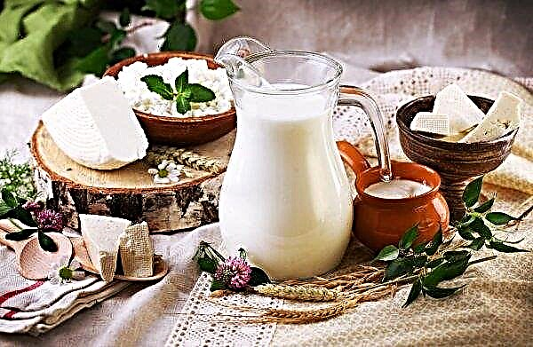 El Ameriabank armenio actúa como el principal socio financiero de la nueva fábrica de lácteos de Spayka