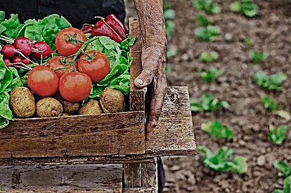 ศูนย์มือถือเพื่อสนับสนุนเกษตรกรมีการใช้งานในยูเครน