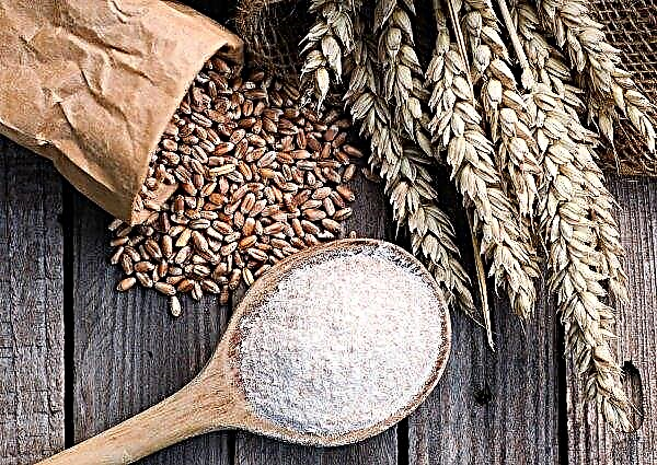 Le Kazakhstan pourrait réduire ses exportations de blé dur
