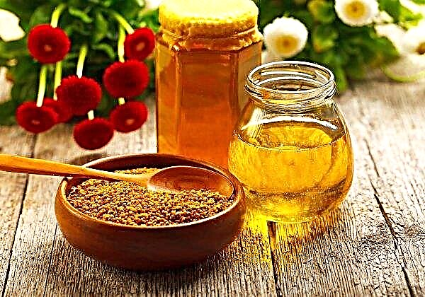 Apicultores de Poltava descontentes com a colheita de mel este ano
