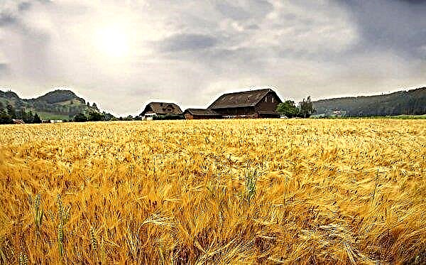 Ukrainos žemės ūkio sektorius kasmet praranda apie 35 milijardus grivinų dėl dirvožemio degradacijos