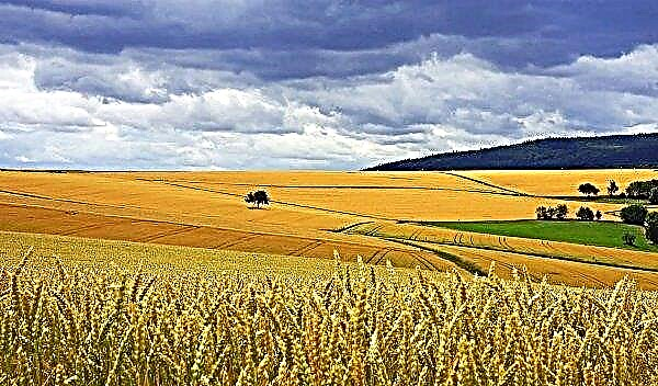 Au fost extinse 30 de mii de hectare de teren arabil în regiunea Donețk